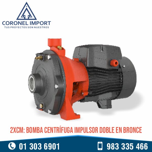 2XCm: BOMBA CENTRIFUGA IMPULSOR DOBLE EN BRONCE